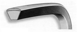 Ремень прямого хода подходит для культиватора MZ 2050 R - MZ 2050 RX YF1231609 - фото 13996