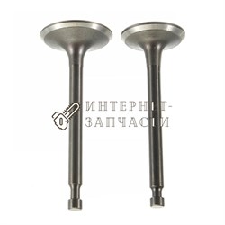 Комплект клапанов бензинового двигателя Loncin G120F 117731_LC - фото 264631