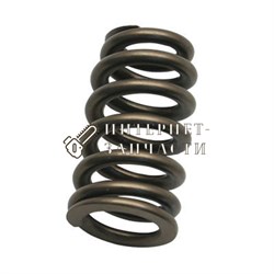 Пружина клапанов бензинового двигателя Loncin G120F 103009_LC