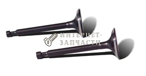 Комплект клапанов входа и выхода двигателя GX 440 391570
