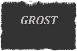 Вал крепления лопасти затирочной машины GROST ZM600/ZME600 104271