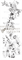 Коромысло  генератора BauMaster PG-8719WX-2-90 390452 - фото 167800