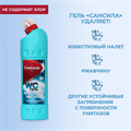 WC-гель Кристальная чистота, 750 г