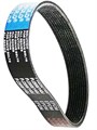 Ремень поликлиновой PJ 356/ J 140 EPDM, CNFULO, ширина 9 ручьев Ремень поликлиновой PJ 356/ J 140 EPDM, CNFULO, ширина 9 ручьев
