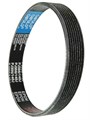 Ремень поликлиновой PJ 356/ J 140 EPDM, CNFULO, ширина 8 ручьев Ремень поликлиновой PJ 356/ J 140 EPDM, CNFULO, ширина 8 ручьев